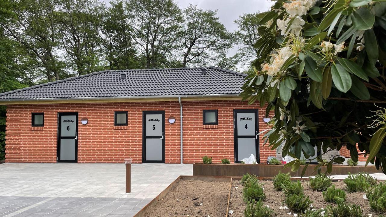 Holiday Rooms Mollebo Ansager Εξωτερικό φωτογραφία